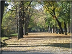 foto Giardini di Porta Venezia